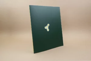 You don't need soil to grow - The Eriskay Connection Main Product Image