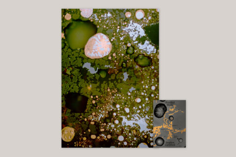 Petrified Media - Edition with C-print “Technofossil” - Product Image