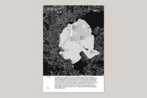 Petrified Media (riso poster) - The Eriskay Connection Main Product Image