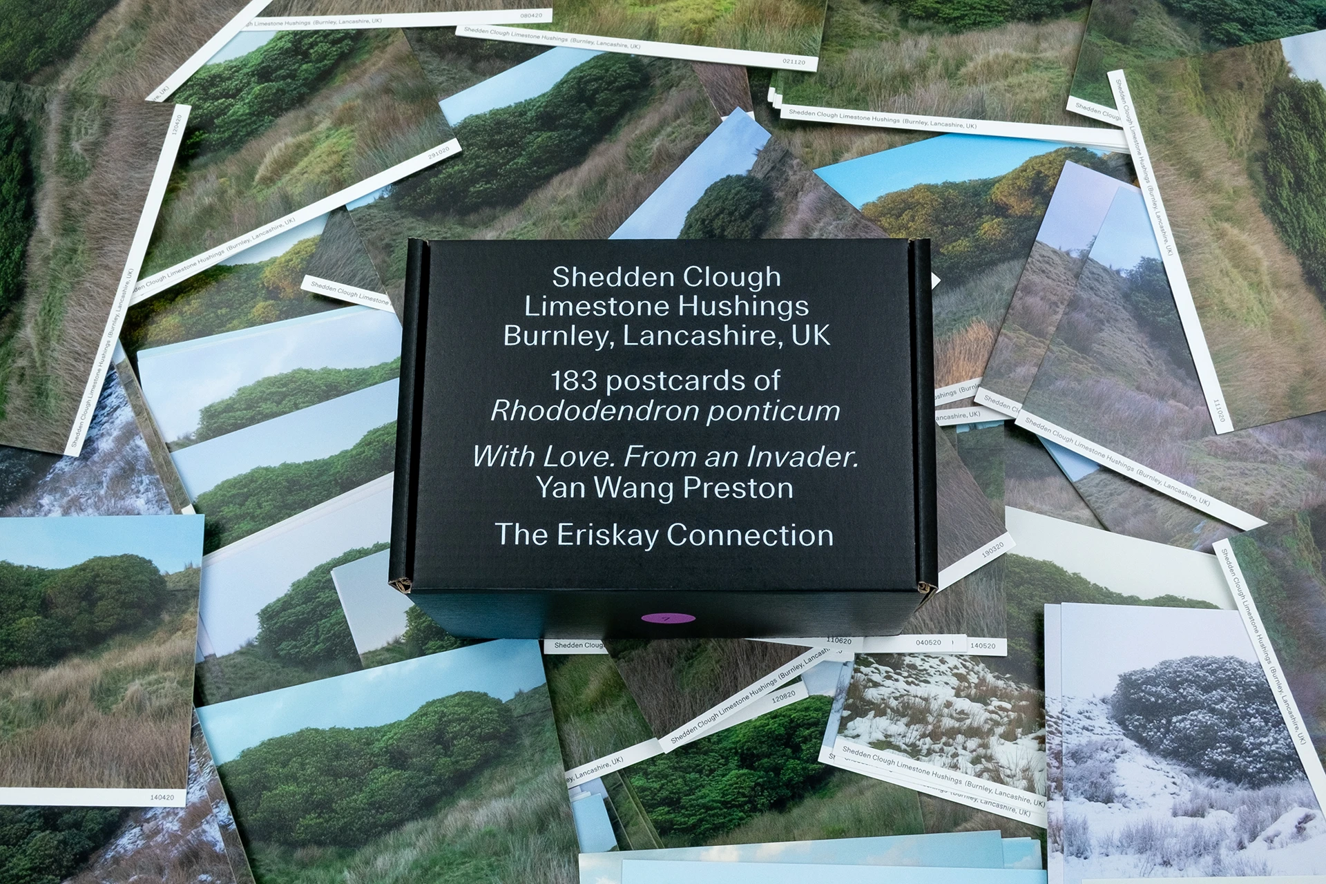 183 Postcards of Rhododendron ponticum - The Eriskay Connection