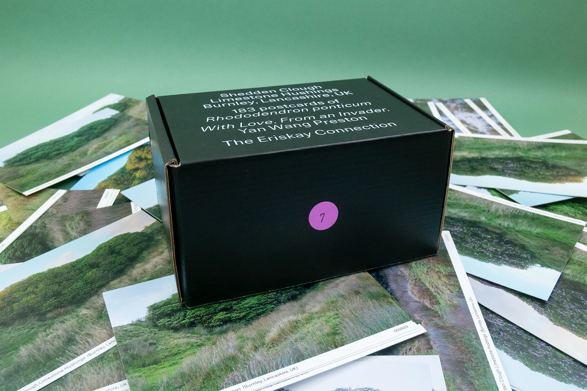 183 Postcards of Rhododendron ponticum - The Eriskay Connection