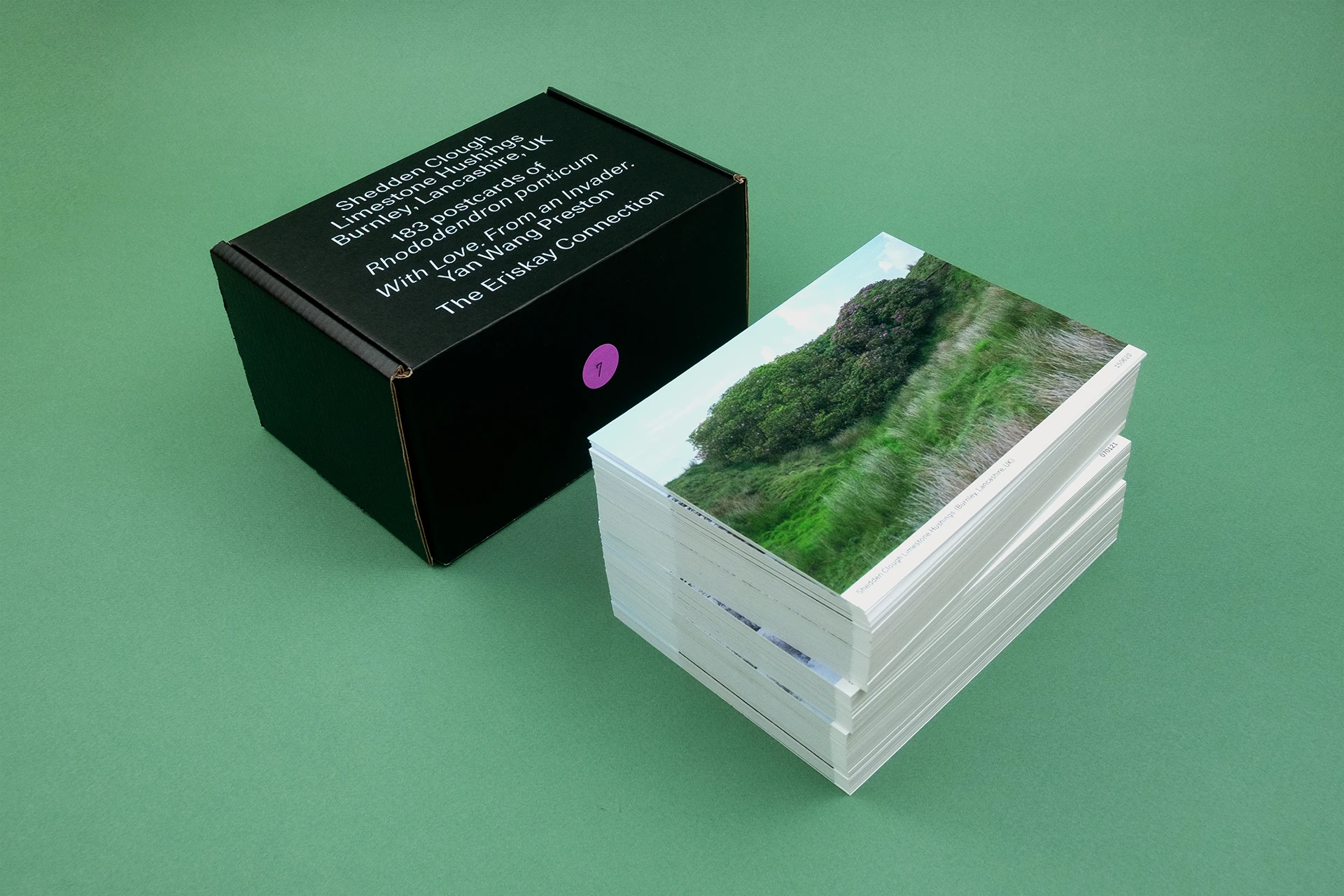 183 Postcards of Rhododendron ponticum - The Eriskay Connection