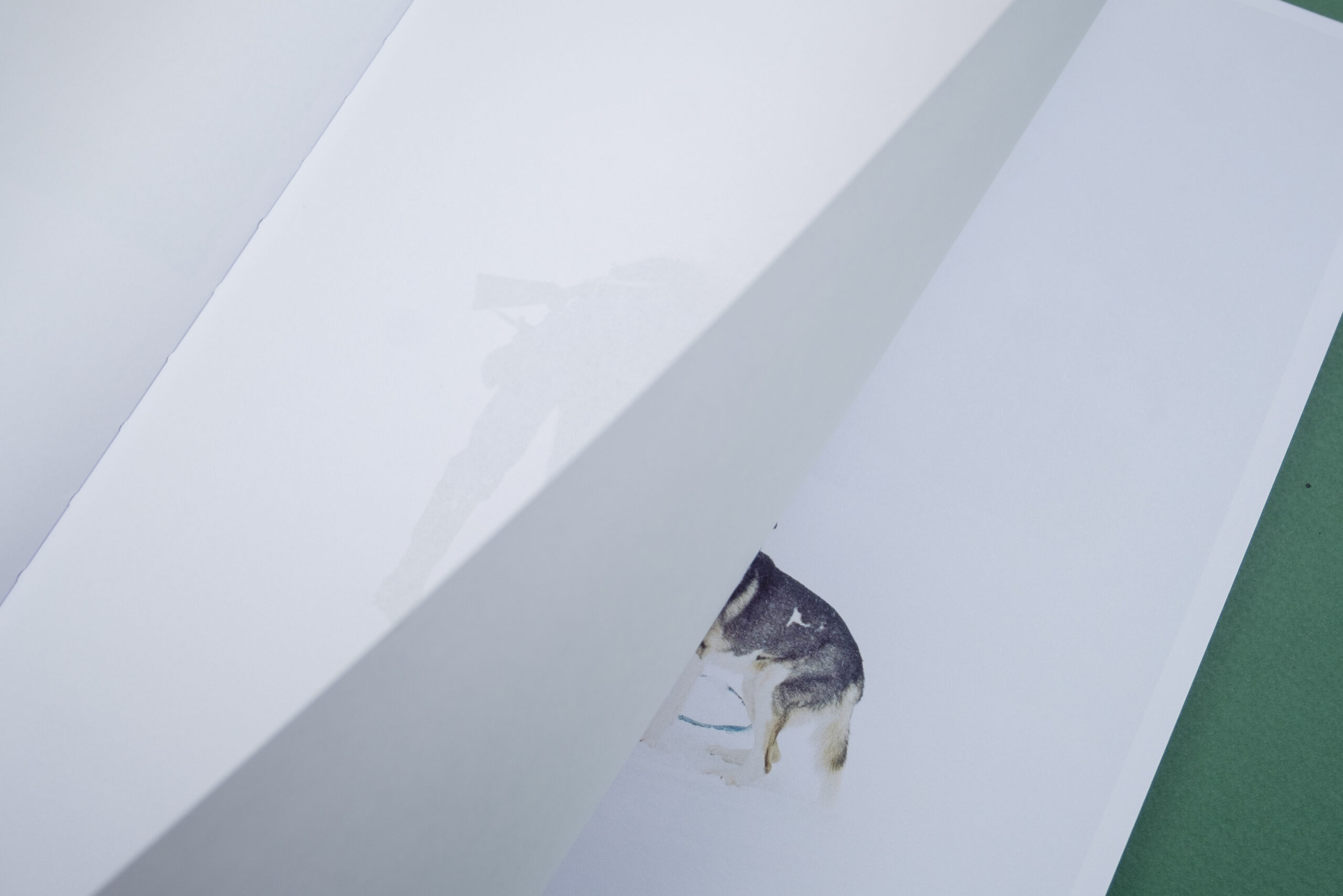 Only Barely Still – On Women and Wilderness - The Eriskay Connection
