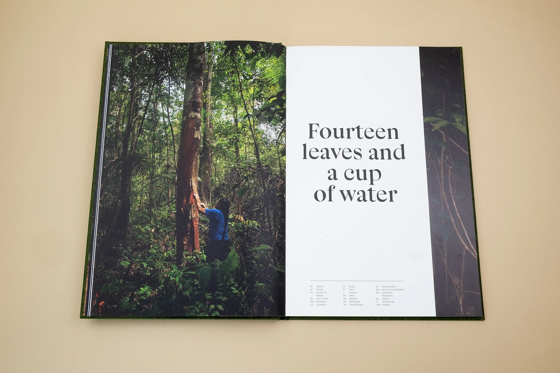 Fourteen Leaves and a Cup of Water - The Eriskay Connection