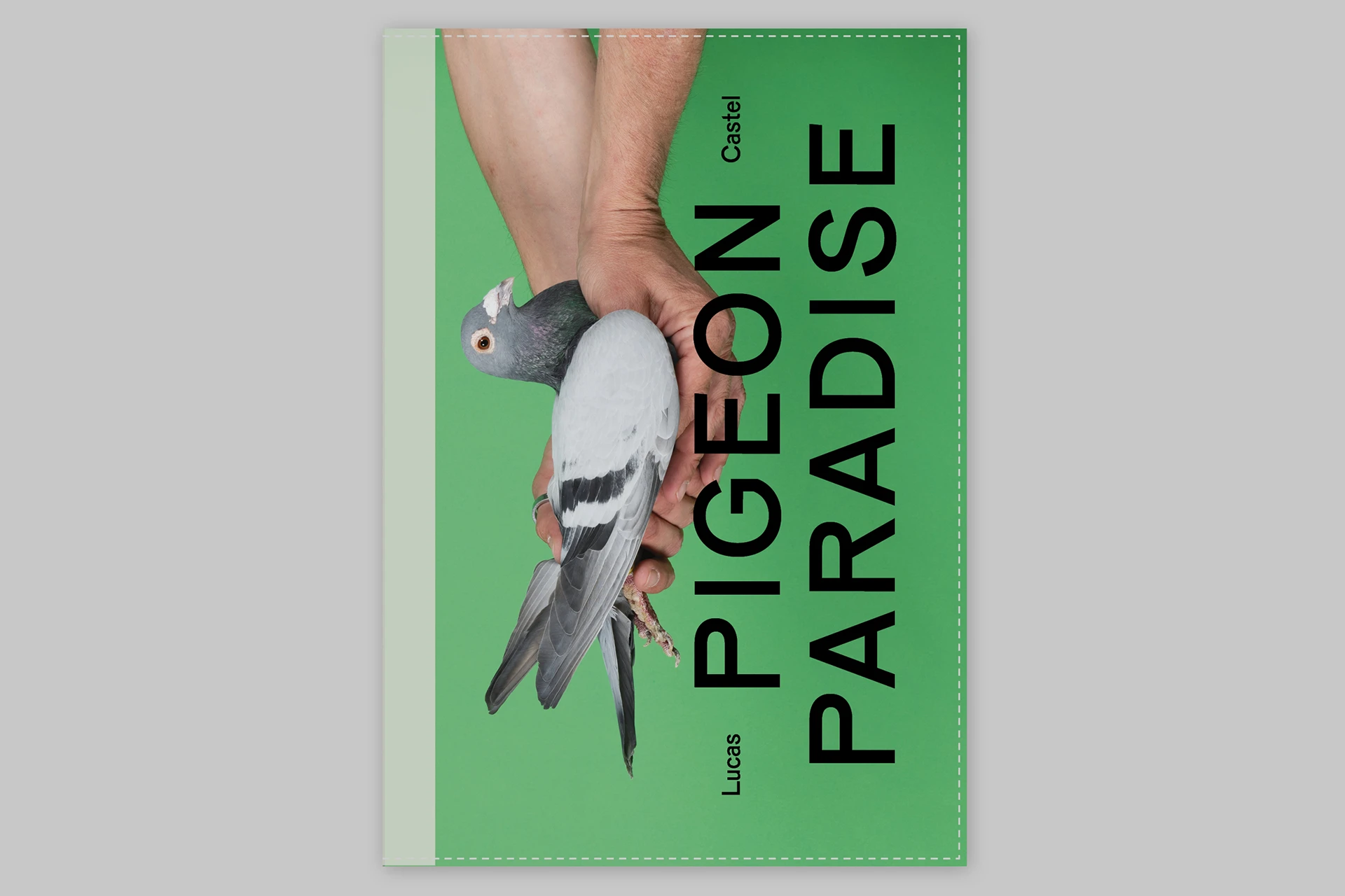 Pigeon Paradise - The Eriskay Connection