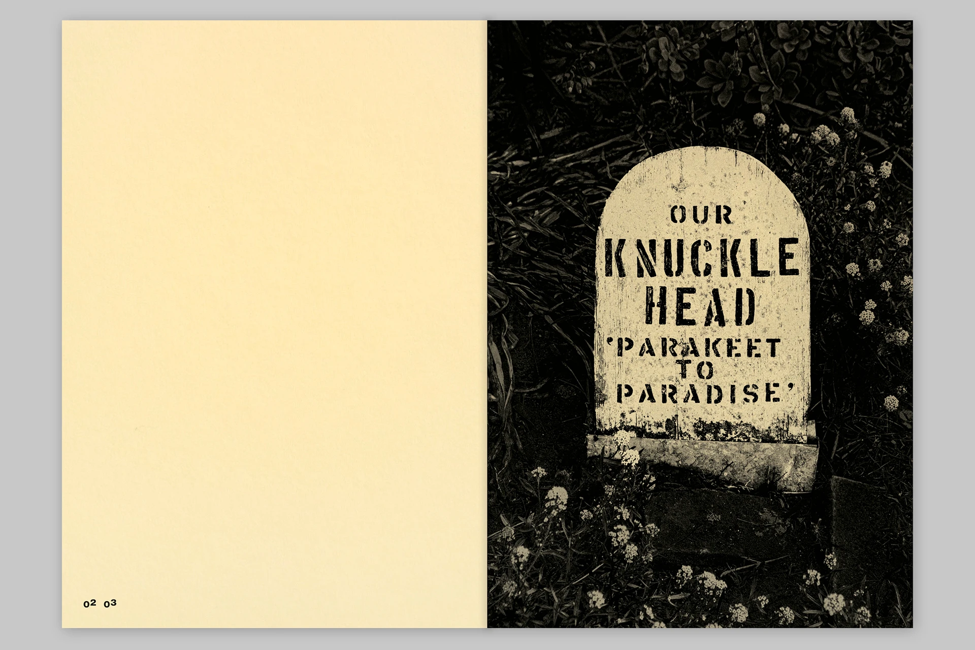 Trouble. He was no trouble – Presidio Pet Cemetery of San Francisco - The Eriskay Connection