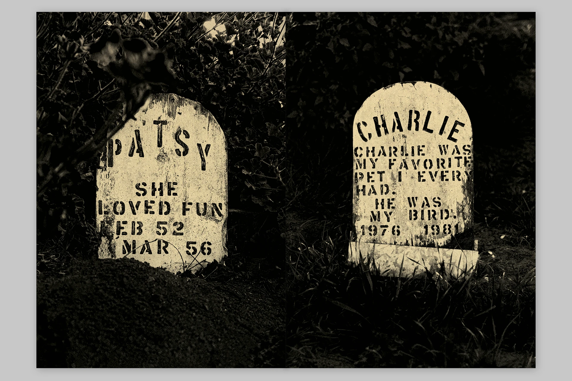 Trouble. He was no trouble – Presidio Pet Cemetery of San Francisco - The Eriskay Connection